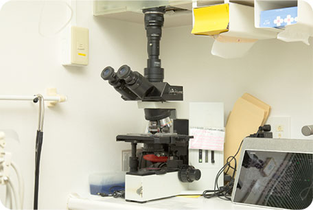 設備・医療機器のご紹介 顕微鏡